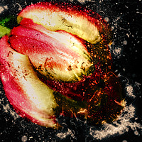 Buy canvas prints of Tulips bloom abstract explosive by Dagmar Giers