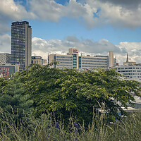 Buy canvas prints of Sheffield  by Paul Andrews