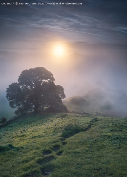 Chrome Hill Sunrise #2 Picture Board by Paul Andrews
