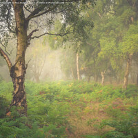 Buy canvas prints of Lawrence Field by Paul Andrews