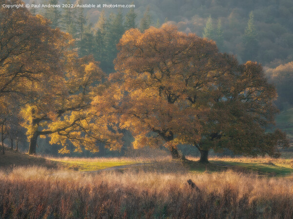 Brathay Gold Picture Board by Paul Andrews