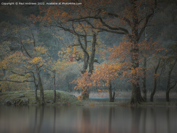 Rydal Water Picture Board by Paul Andrews