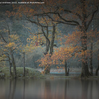 Buy canvas prints of Rydal Water by Paul Andrews