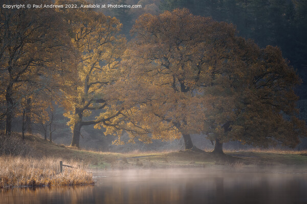 River Brathay Picture Board by Paul Andrews