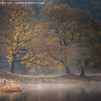 Buy canvas prints of River Brathay by Paul Andrews