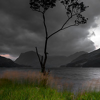 Buy canvas prints of Buttermere Tree by Paul Andrews