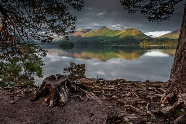 Catbells From Friars Crag Picture Board by Paul Andrews