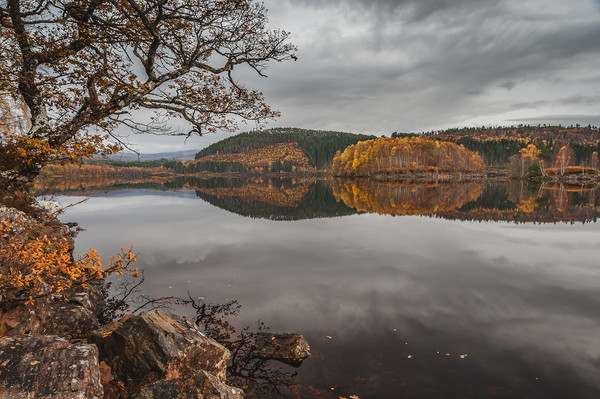 Autumn Gold at Loch Garry Picture Board by Paul Andrews