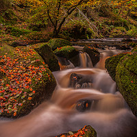 Buy canvas prints of Autumn in Wyming Brook  by Paul Andrews