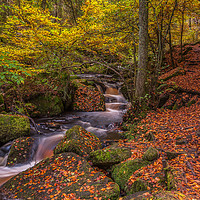 Buy canvas prints of Autumn in Wyming Brook 2 by Paul Andrews