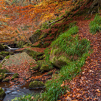 Buy canvas prints of Autumn in Padley Gorge  by Paul Andrews