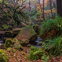 Buy canvas prints of Autumn in Padley Gorge   by Paul Andrews