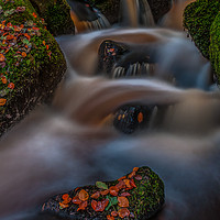 Buy canvas prints of Autumn in Wyming Brook  by Paul Andrews