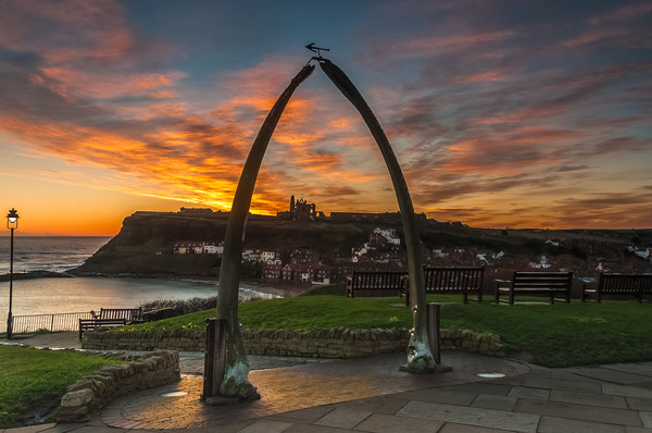 Whitby Whale Bones 2 Picture Board by Paul Andrews