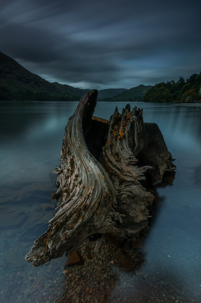 Ullswater Tree Stump Picture Board by Paul Andrews