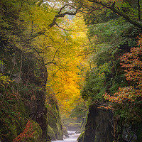 Buy canvas prints of The Fairy Glen by Paul Andrews