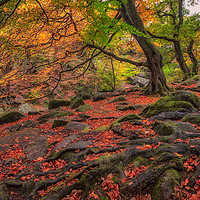 Buy canvas prints of Autumn Colours in Padley Gorge by Paul Andrews