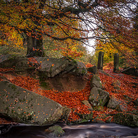 Buy canvas prints of Autumn in Padley Gorge by Paul Andrews