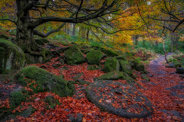 Padley Millstone Picture Board by Paul Andrews