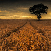 Buy canvas prints of Harvest Time #3 by Paul Andrews