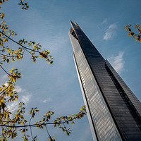 Buy canvas prints of The Shard #5 by Paul Andrews