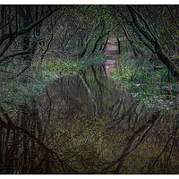 Buy canvas prints of Crow Park by Paul Andrews
