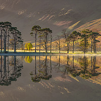 Buy canvas prints of Buttermere Pines #2 by Paul Andrews