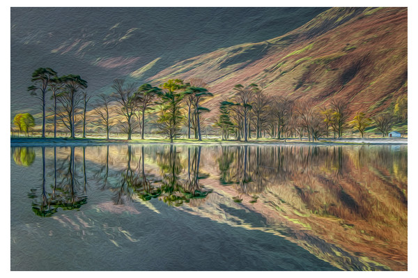 Buttermere Pines Picture Board by Paul Andrews