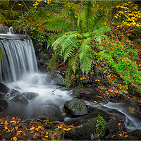 Buy canvas prints of Upper Coppice Wheel Rivelin by Paul Andrews
