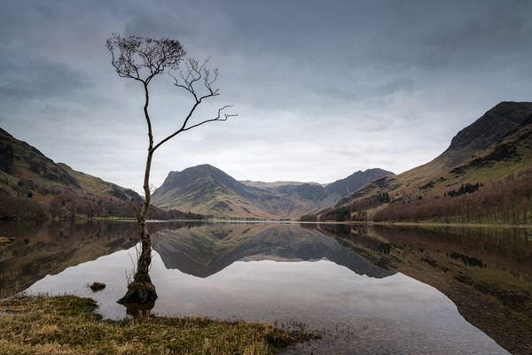 Buttermere Reflections #2 Picture Board by Paul Andrews