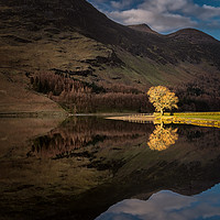 Buy canvas prints of Buttermere Sentinel by Paul Andrews
