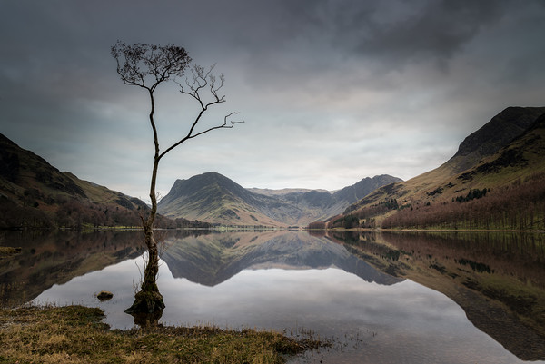 Buttermere Reflections Picture Board by Paul Andrews