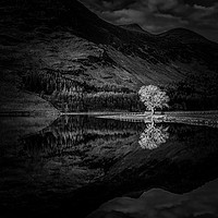 Buy canvas prints of Buttermere Sentinel #4 by Paul Andrews
