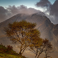 Buy canvas prints of Blaven and Silver Birch Trees by Paul Andrews