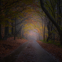 Buy canvas prints of Unthank Lane by Paul Andrews