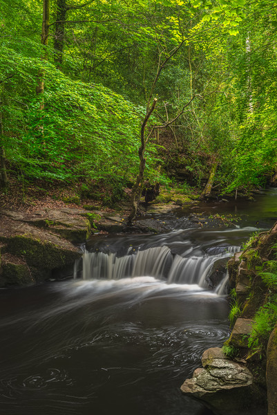 Rivelin Falls Picture Board by Paul Andrews