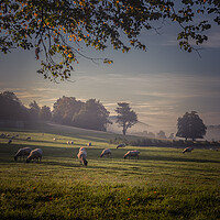 Buy canvas prints of Chatsworth Estate by Paul Andrews