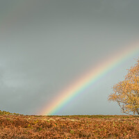 Buy canvas prints of Lawrence Field Double Rainbow by Paul Andrews