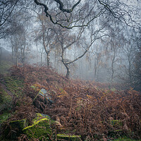 Buy canvas prints of Oxhay Wood  by Paul Andrews