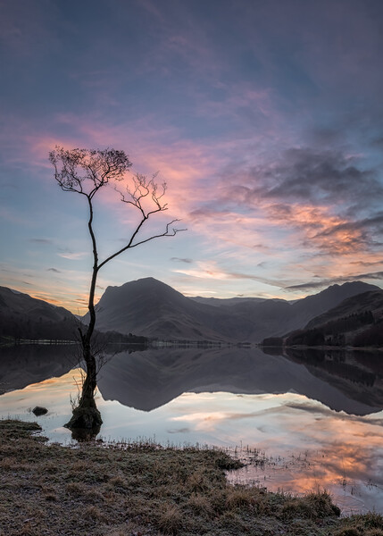 Buttermere Sunrise Picture Board by Paul Andrews