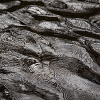 Buy canvas prints of Water detail. by Mark Bowman
