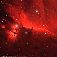 Buy canvas prints of Horsehead & Flame Nebulae by Gregg Simpson