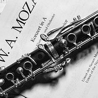 Buy canvas prints of Clarinet by Gregg Simpson