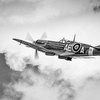 Buy canvas prints of MkV Spitfire by Gregg Simpson