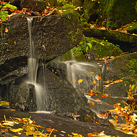 Buy canvas prints of Autumnal Cascade by John Gent