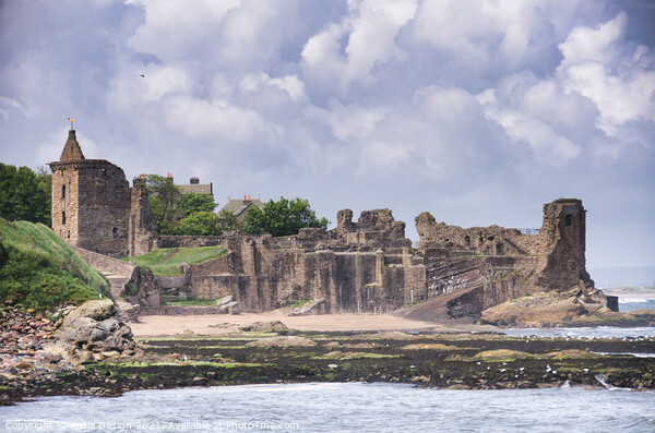 St Andrews Castle Ruins Picture Board by Kasia Design