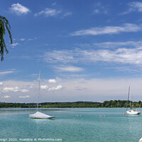 Buy canvas prints of Lazing by the Lake, Bavaria, Germany by Kasia Design