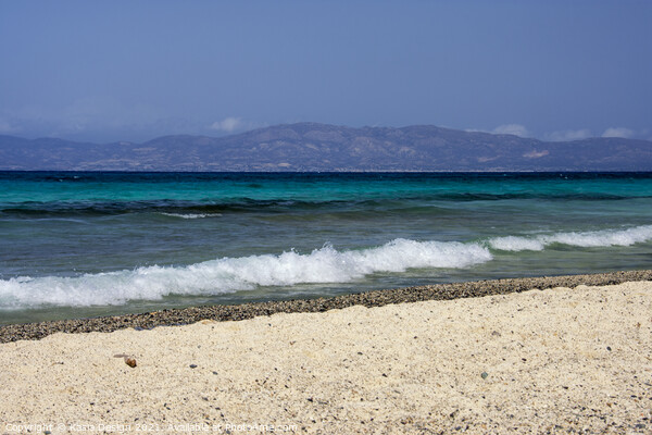 Chrissi Island, Crete, Greece Picture Board by Kasia Design