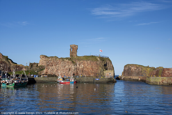 Fishing Boats in Historic Dunbar Harbour Picture Board by Kasia Design