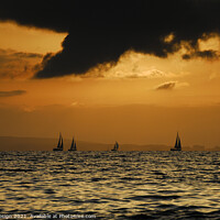 Buy canvas prints of Yachts Return at Sunset, Bay of Palma, Mallorca by Kasia Design